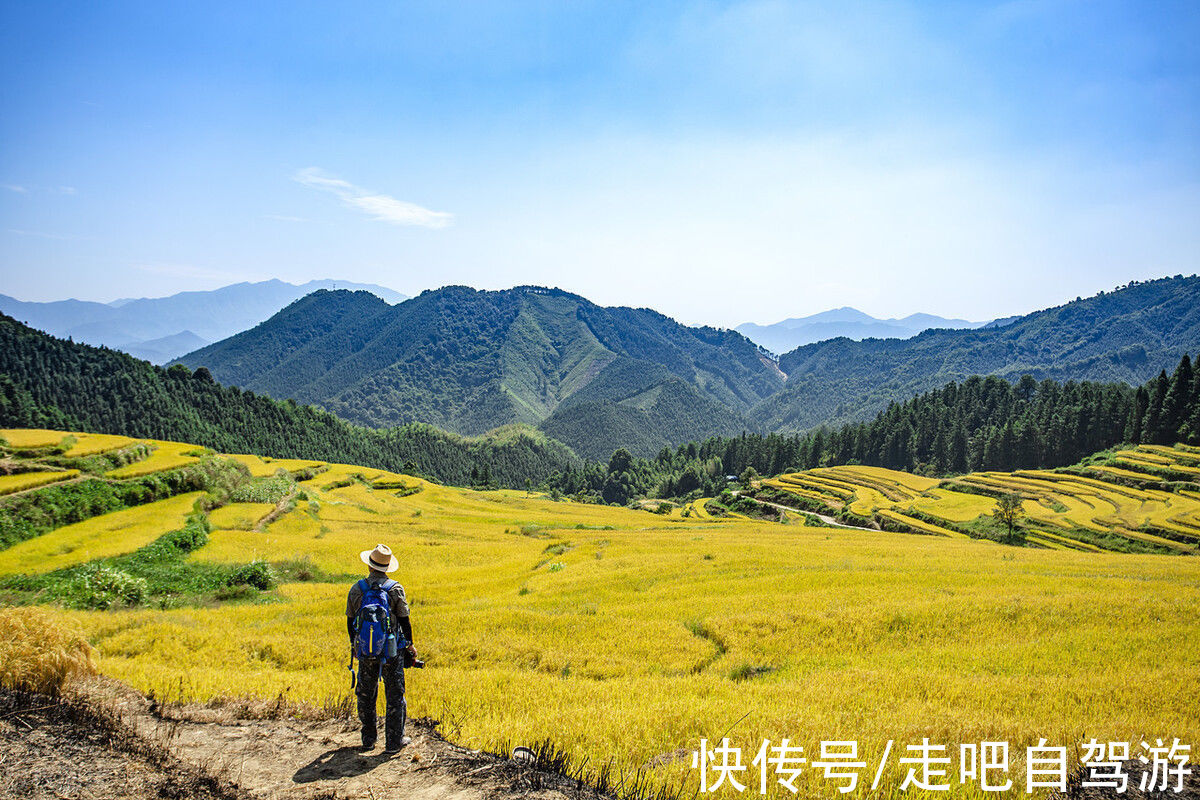 异木棉|这个自嘲只有夏天的省份，私藏了中国最丰满秋色，11、12月靓爆镜