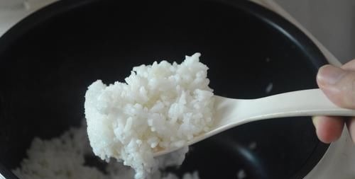 今天才知道,煮米饭时加点它,煮出来的米饭软糯香甜还不粘锅,真棒