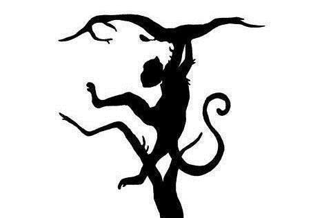 大脑|权威痴呆测试80分以上的大脑还算健康,看看你能及格吗