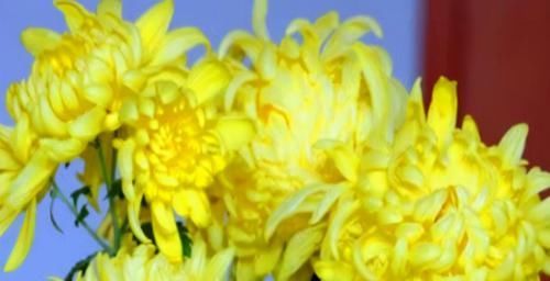 聪明人爱吃3种食物,营养丰富、滋润肌肤,早吃早健康!