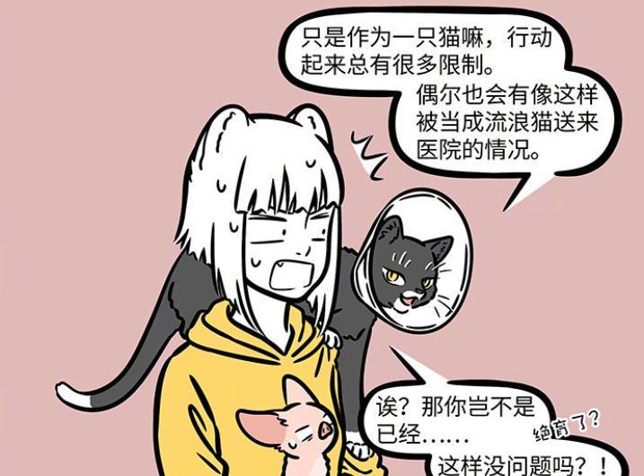 分身|非人哉:九月带着徐哼唧打疫苗,观音再度化身为猫,已被绝育