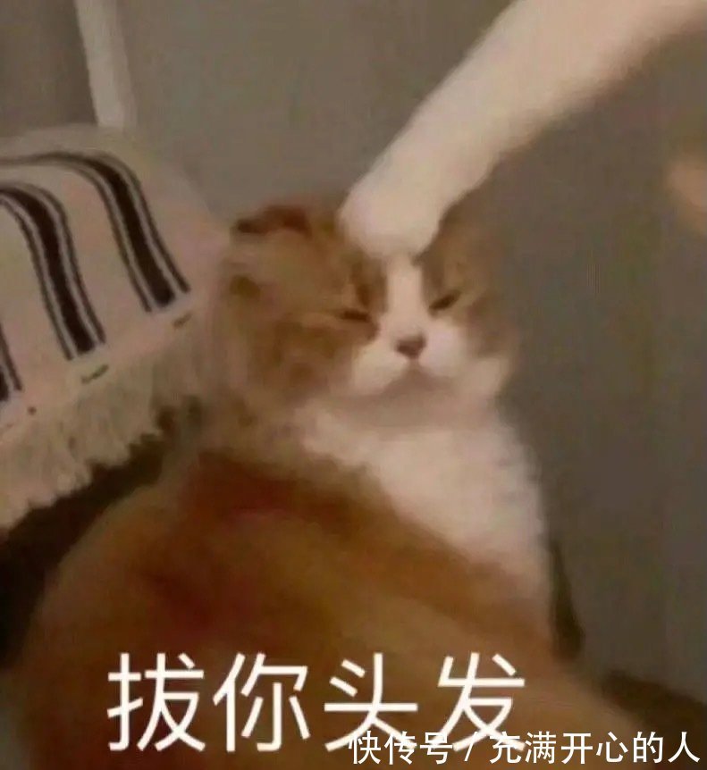 |搞笑表情包来啦