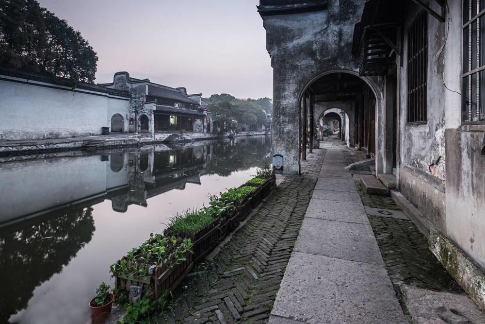 写红陈景润的徐迟：出身南浔名门望族，最后一部作品献给家乡