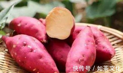 叶黄素|对眼睛最好的4类“食物”,基本家家户户都有,为健康早知早受益
