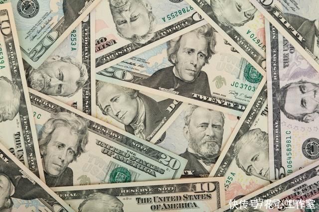  美元|《美元纸币特写》双尾蝎-协助拍摄