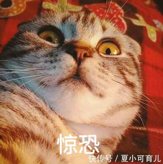 透明质酸|挨骂也要曝光的4款“坑妈”面膜,竟含致畸成分,孕妈们别用!