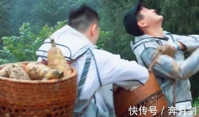 《向往的生活》中真正干活之人说漏了嘴,何炅迅速补救却已来不及