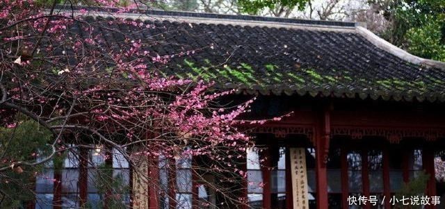 门泊东吴万里船!杜甫52岁写下一首诗,短短28字流传千年,小学生必背