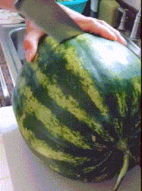 |搞笑GIF趣图姑娘还是温柔一点好,不然以后不好找对象!