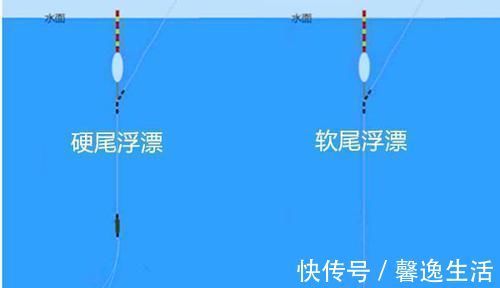 调漂|调漂技巧:使用空心软尾浮漂,调漂可以这样调,上鱼快,中鱼率高