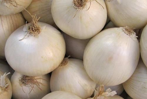 买洋葱时,选“紫色”还是“白色”好?很多人不知道,涨知识了