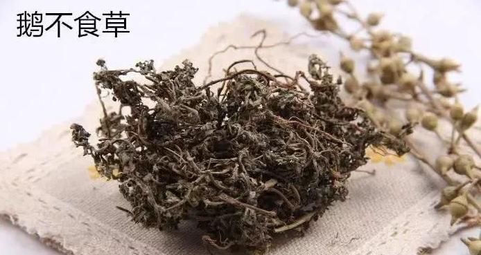  扶正祛邪|民间流传60年的老方子，一味药，扶正祛邪，根治鼻炎！