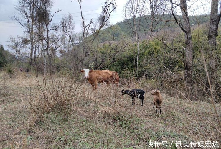 老年|昆明走进自然户外｜乐走牧羊河下段，阿子营走到小河乡，休闲自在