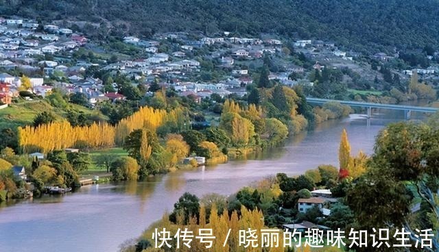 塔斯&丈夫被制成标本展览,她留下遗愿请善待我,不要展览我!