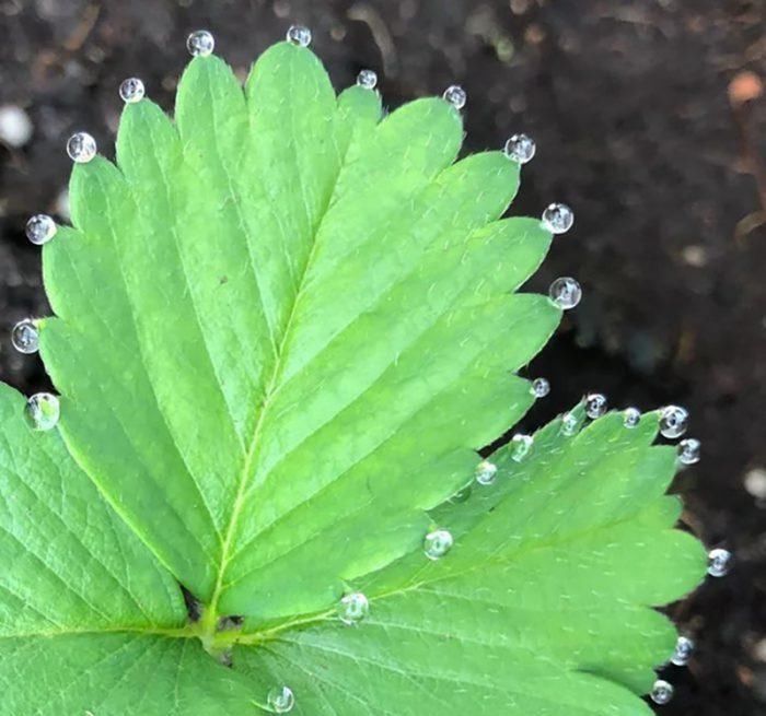 14张给强迫症患者带来满足感的画面