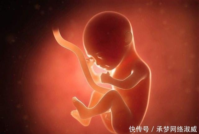 孕期|孕期抓住胎儿大脑发育“高峰期”，宝宝出生后，智商只高不低