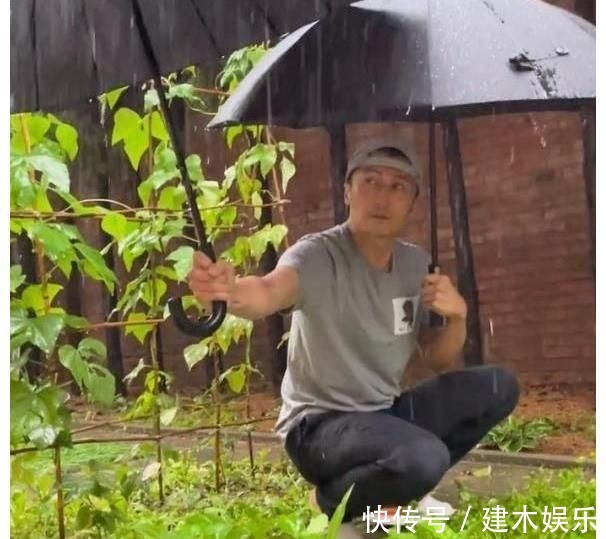 谢霆锋暴雨天给蔬菜打伞,引来6百万人围观,网友:这是什么操作