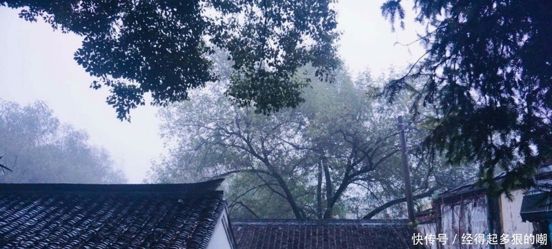 杜牧这首诗美得令人心醉,短短的28个字,写出了充满诗意的秋天!