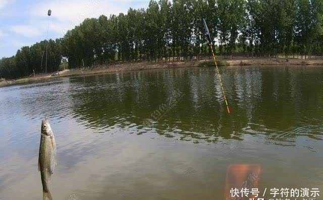 子线|浅滩、走水、刮大风,双活铅速钓潮白河