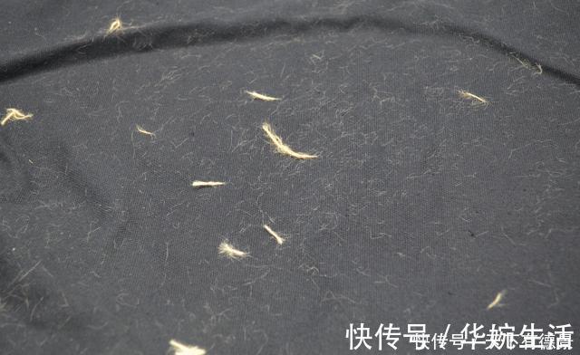 衣服粘毛不用买滚刷，教你一个小技巧，轻松去除毛絮，省钱又省事