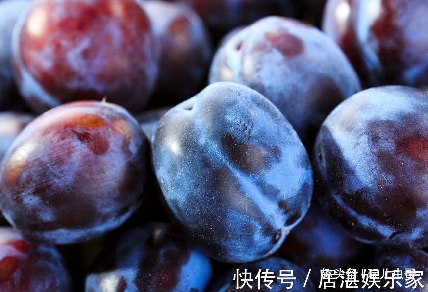 排水|李子美容养颜,润滑肌肤,做好3点,一样种出健康营养李子来