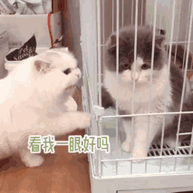 划掉你就草率了！天雷滚滚，我要公开那些全网爆火的雷品