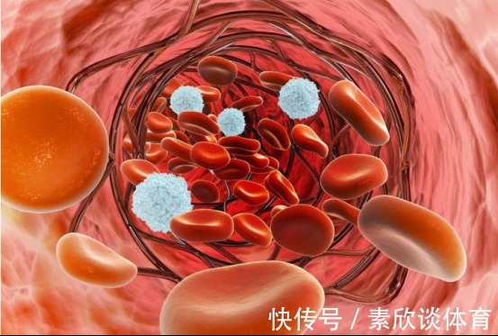 院士|高血脂能否吃花生?退休院士忠告:不想血管堵塞,3物要少吃