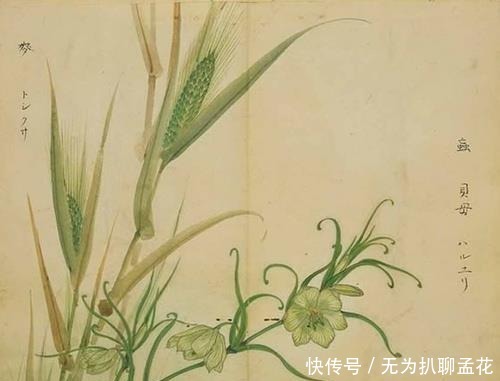 诗歌|中国文学两大源头之一,我国第一部诗歌总集——《诗经》