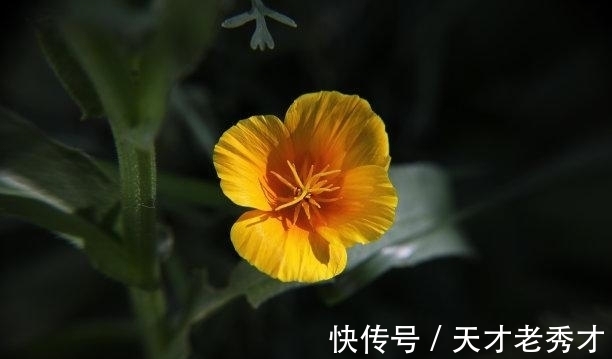 芳心|本周结束，希望是你，海誓山盟，重逢拥抱，赢得芳心，私定终身