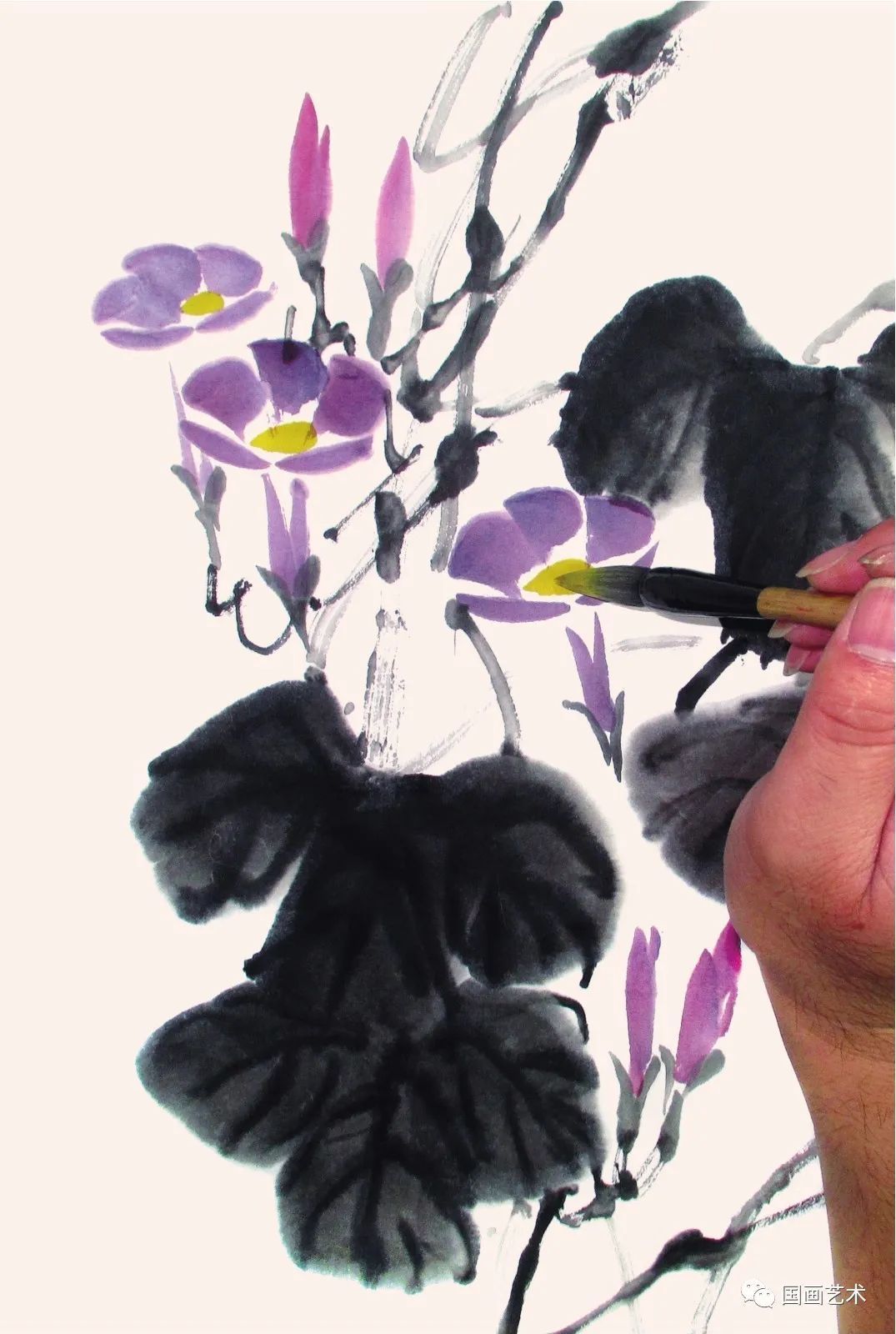 浓淡！图文教程——轻松学画喇叭花