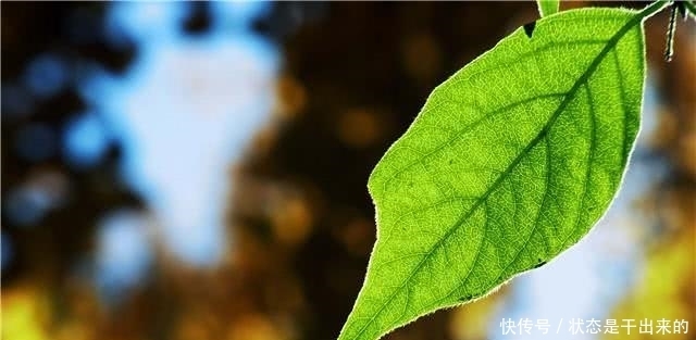 曾国藩家训|一个家族兴旺发达的三种“迹象”,若有一个,便是好事