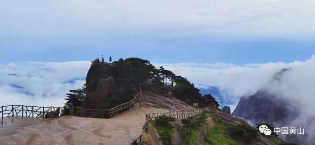 吴立新|云游雨后黄山 美景如画好似仙境