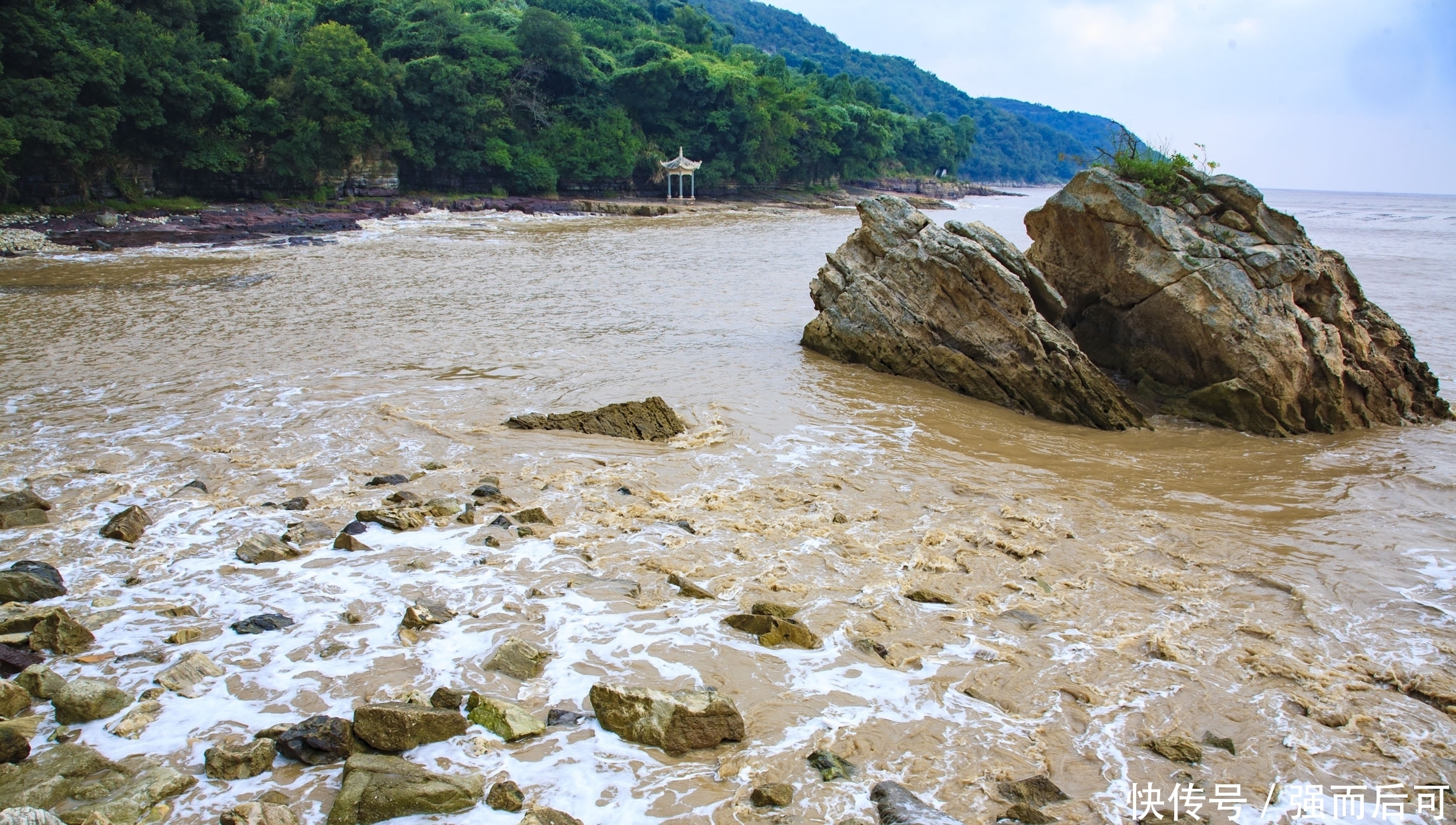 有感|心田播种希望好，学海巡游鼓浪宽。十一月一日有感，清吟一首