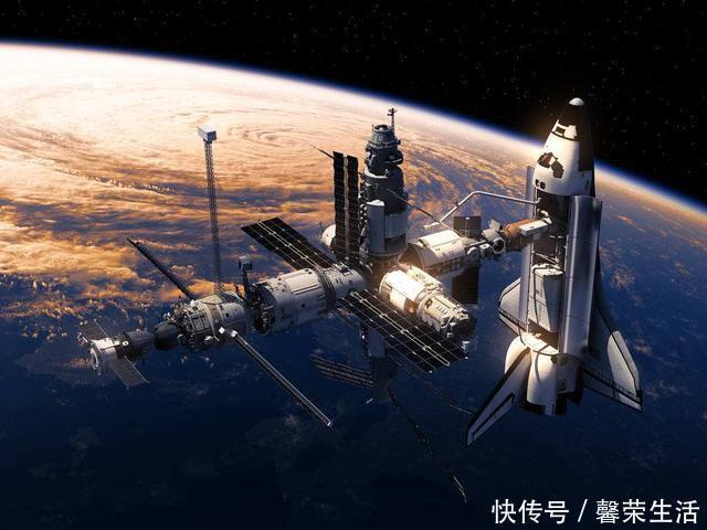 莱卡 上过太空的猴子再回到地球过得怎么样了