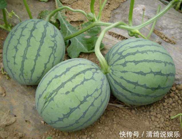 湿气|三伏天“3种水果”要少吃，越吃湿气越重，可惜很多人不重视