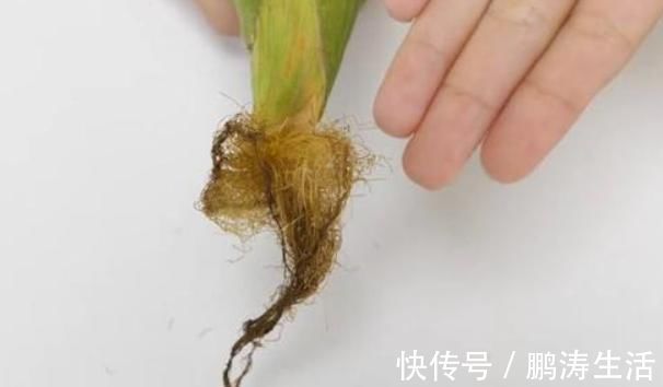 好处|煮过玉米的水先别倒掉,好处多得你想不到,又能省下一大笔钱了