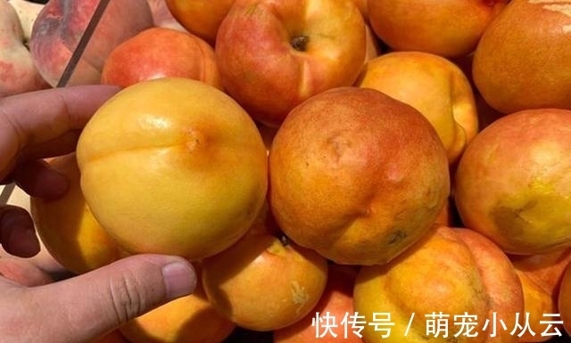 毛桃|爱吃桃子的要留意了,我也是刚刚才知道,抓紧告诉家里人