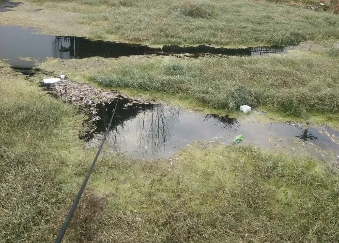 天气变冷,大板鲫都“藏”这三个不起眼的小地方,切记莫疏忽