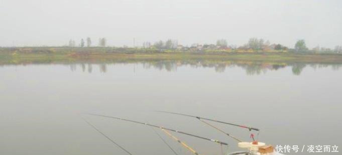 溶氧量|狂拉后却遭到“停口”老渔民说出实情,原来不少钓鱼人都做错了!