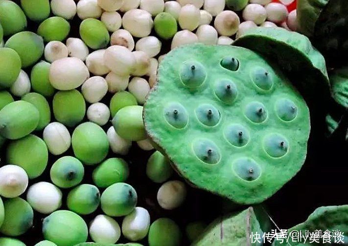 苦瓜|明日入伏，这5种食物记得吃，应季而食身体棒，安稳度过三伏40天