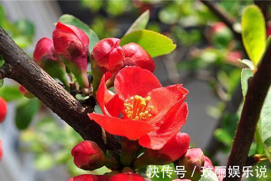 异地夫妻高情商聊天,异地夫妻高情商聊天:沟通技巧与情感经营