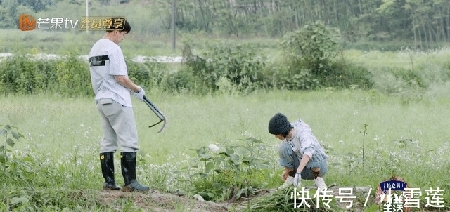 蘑菇屋|彭昱畅有事缺席《向往5》录制,临走做两大贡献,张艺兴压力变小
