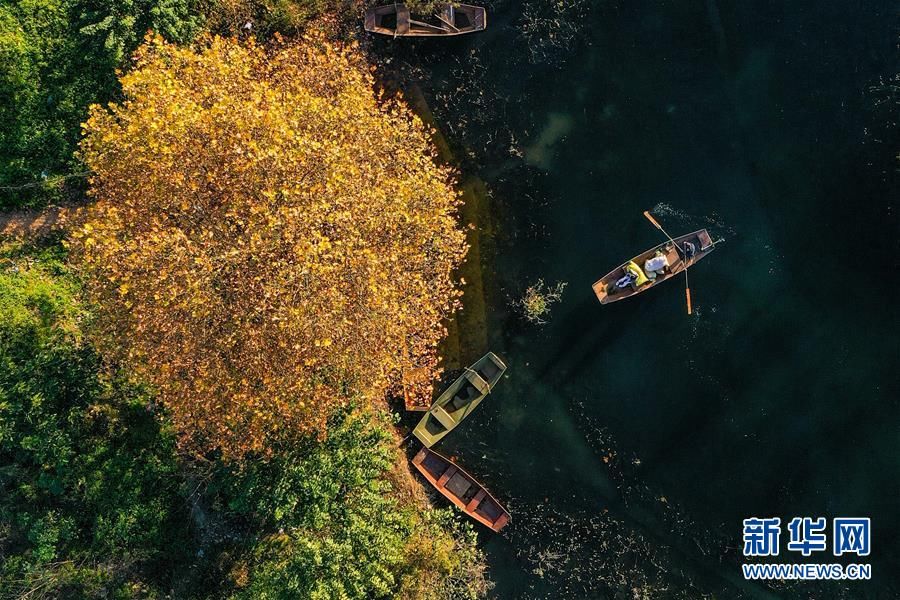  初冬|初冬阿哈湖景如画