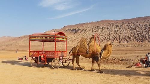 丝路行丨曾忆火焰山下借芭蕉,高昌故梦可相识。