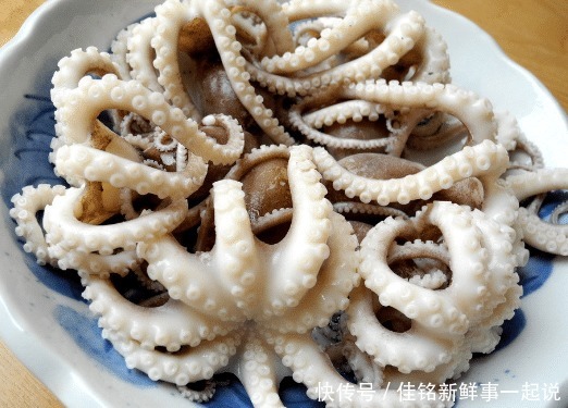 不动|为什么八爪鱼太硬咬不动老板不是鱼的问题,是你的做法错啦!