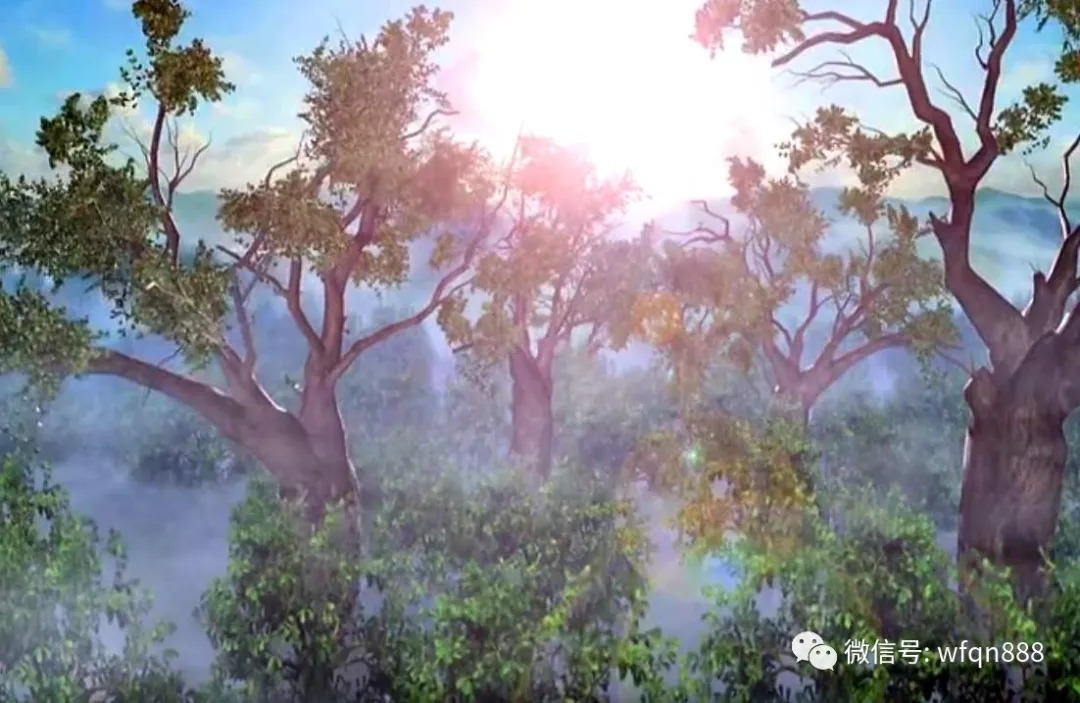 树精&孙悟空打死过6个树精,把它们名字连起来,你会发现一个神秘规律