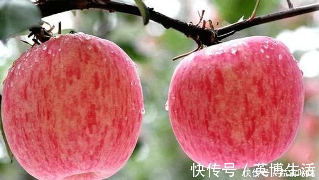 苹果|晚上吃苹果，对健康是利是弊？很多人不清楚，为健康了解下