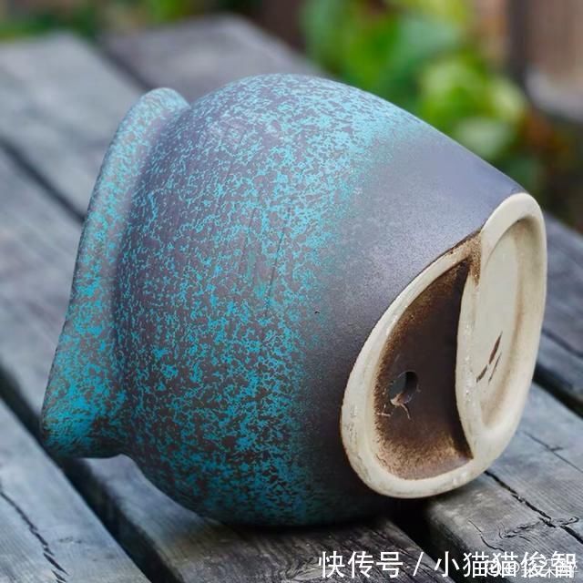 5种花盆养花,怪不得都死了,全是样子货