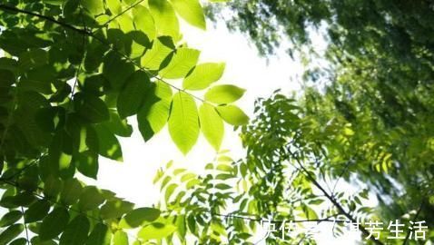 晚期|肺癌晚期还可以活多久？治疗改变生存，不一样的情况不一样的结局