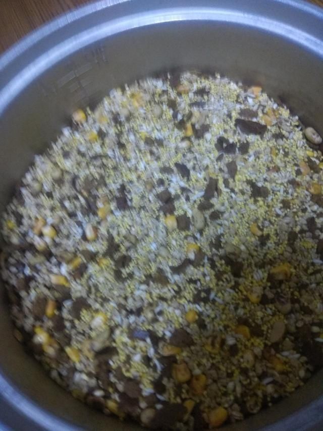 自制酒米窝料,野钓基本没空军,需要的钓友拿走